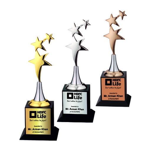 Wood & Metal Trophy WM 9642